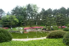 018.webp