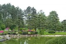 020.webp