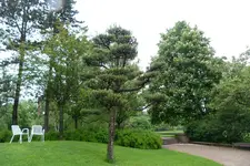 021.webp