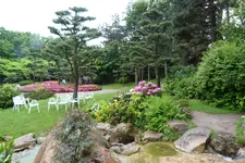 024.webp