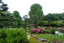 025.webp