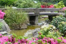 028.webp