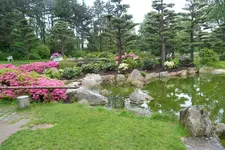 029.webp