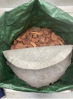 Kartoffeln-Sac-A*2024-06*05.jpg