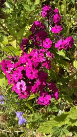 IMG_0241.jpeg