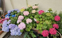 20240615_120501.webp
