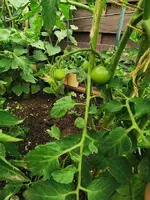 IMG_20240616_111016.webp