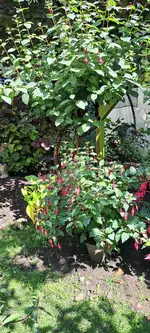 20240616_161353.webp