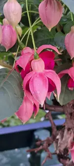20240616_161053.webp
