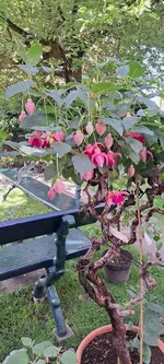 20240616_161042.webp