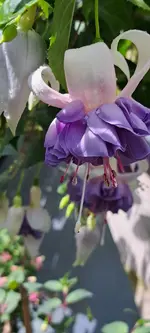 20240616_153533.webp