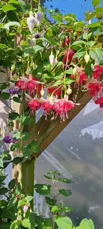 20240616_153520.webp