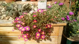 IMG_20180917_124012308.webp