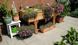 IMG_20190724_112145697.webp