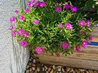 IMG_20200626_121845.webp