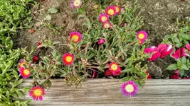 IMG_20180605_170941049_HDR.webp