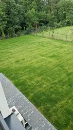 IMG-20240617-WA0005.webp