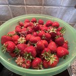 IMG_0254.jpeg