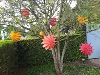 IMG_20230823_131744.webp