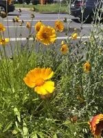 20B89082-2DFA-4A84-9E05-AD1903173891.jpeg