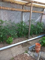 20240617_071233.jpg