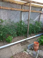 20240617_071233.webp