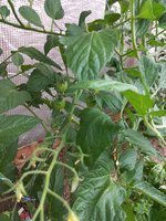 20240617_071228.jpg