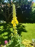 IMG_20240618_123255.webp IMG_20240618_123255.webp