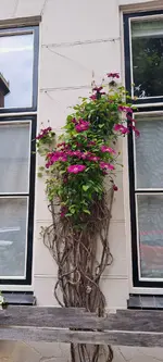 20240618_115910.webp