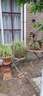 20240618_114407.webp