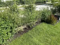 IMG_0723 copy.webp