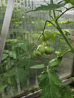 20240618_184511.jpg
