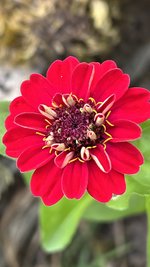 IMG_0261.jpeg