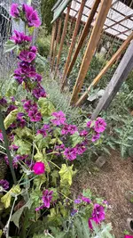 IMG_0268.jpeg
