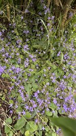 IMG_0258.jpeg