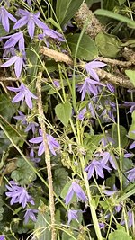 IMG_0259.jpeg