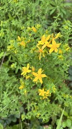 IMG_0289.jpeg