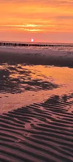 20240618_215959.webp