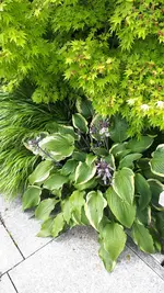 20240618_142324.webp