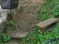 2011Hangtrep1.jpg