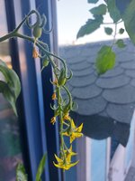 20240619_091040.jpg
