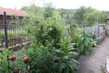 Juni         9624a.webp