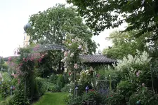 Juni         9624b.webp