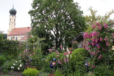 Juni         9624c.JPG
