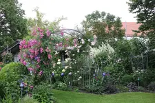 Juni         9624d.webp