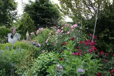 Juni         9624e.webp