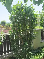 IMG_20240619_125905.webp