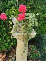 IMG_20240616_173846.webp