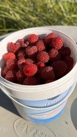 IMG_0296.jpeg