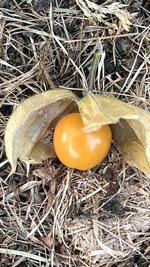 IMG_0318.jpeg